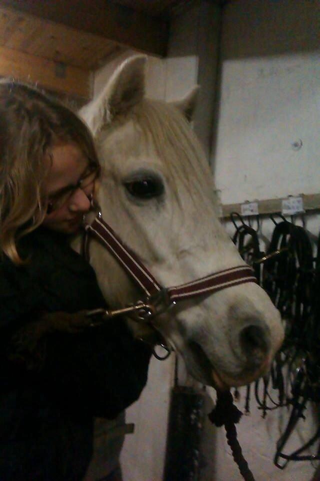 Anden særlig race Apollon *Polle* billede 7