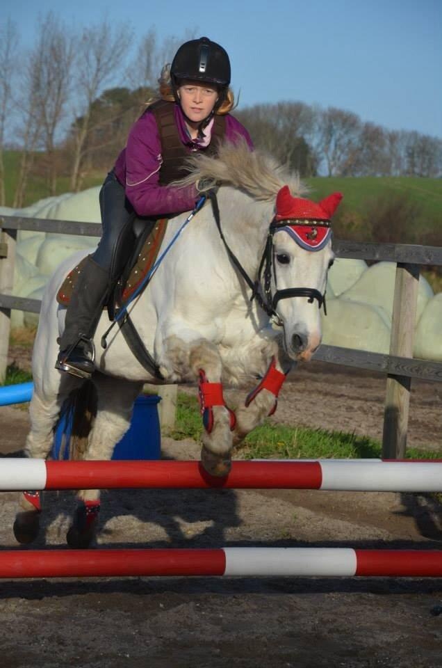 Anden særlig race Apollon *Polle* billede 18