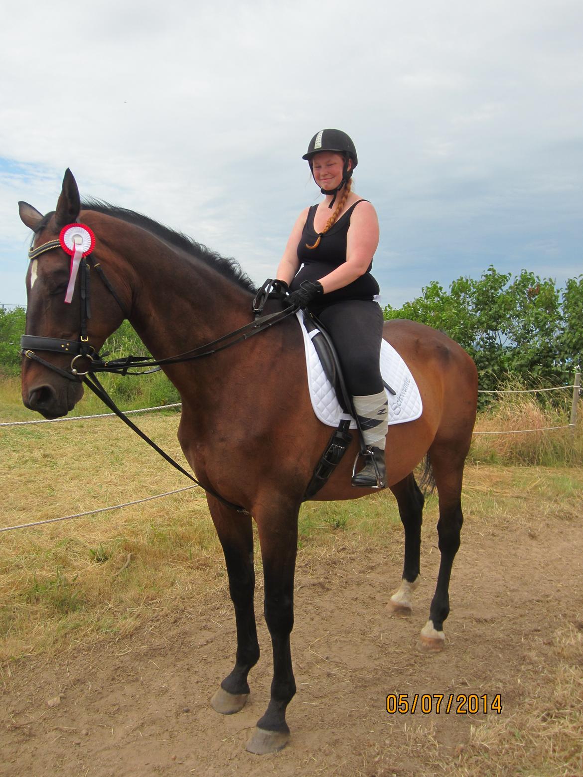 Dansk Varmblod SCHWANTE - Schwante efter sin første gang til ringridning hvor vi vandt en 1plads :) billede 43