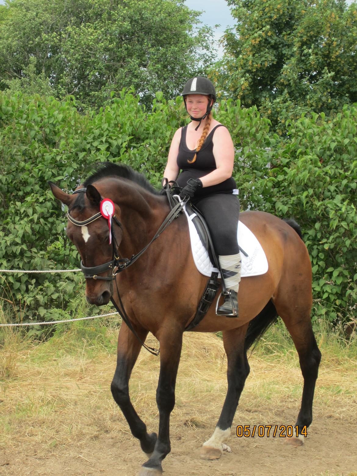 Dansk Varmblod SCHWANTE - Min lækre dreng efter vi vandt 1plads til ringridning :) billede 47