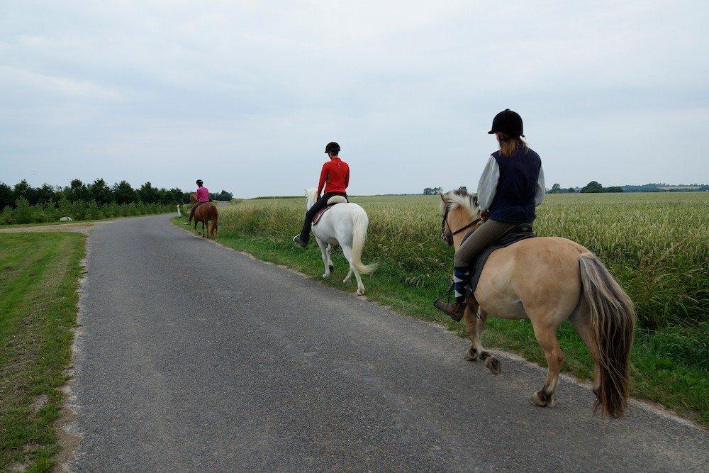 Anden særlig race Charlie billede 5
