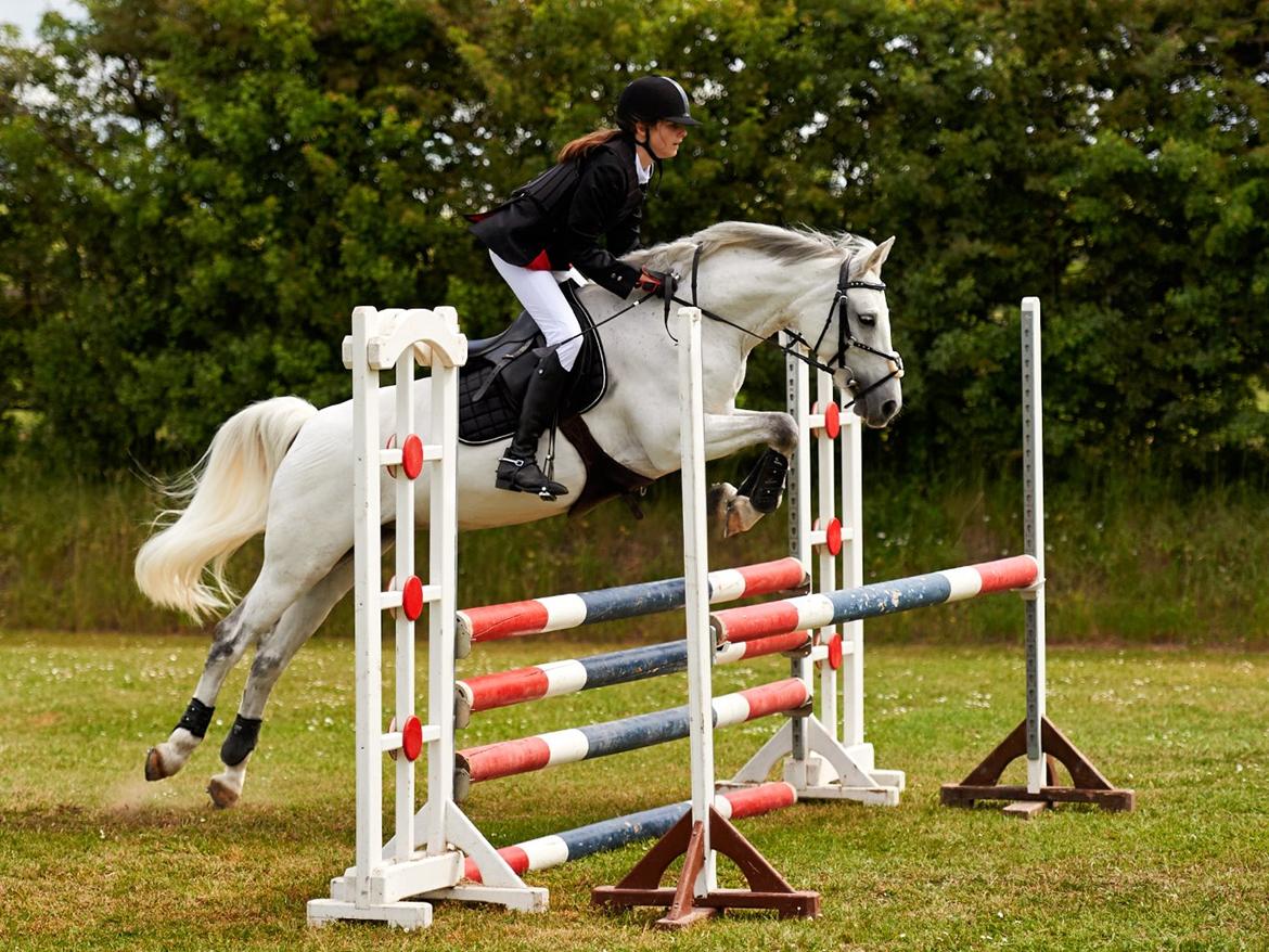 Welsh Partbred (Sec F) Ballettens Silent Victory - Mig og Silent første c stævne LB på SLR billede 5