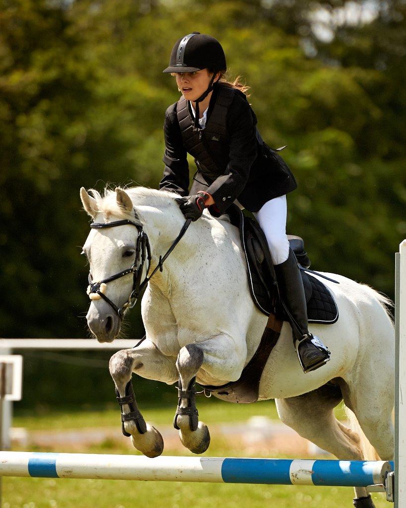 Welsh Partbred (Sec F) Ballettens Silent Victory - c stævne SLR, LB billede 19