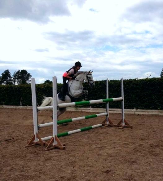 Welsh Partbred (Sec F) Ballettens Silent Victory - mig og Silent springtræning billede 9