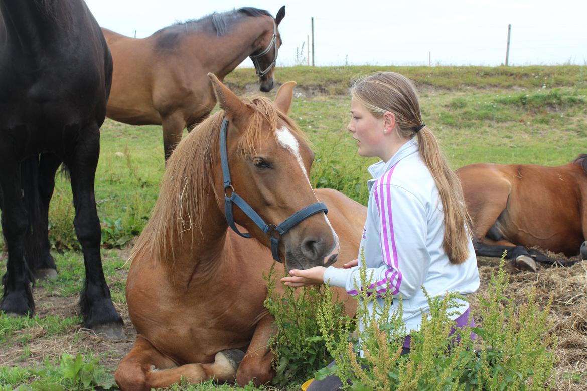 Anden særlig race Lille Nora - 4-7-2014 billede 12