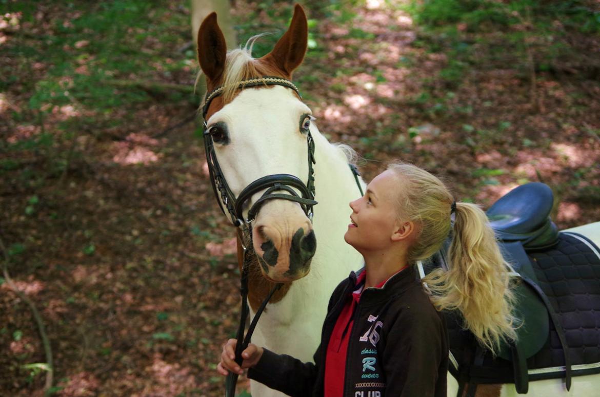 Pinto Camelot - elsker dig <3 billede 9