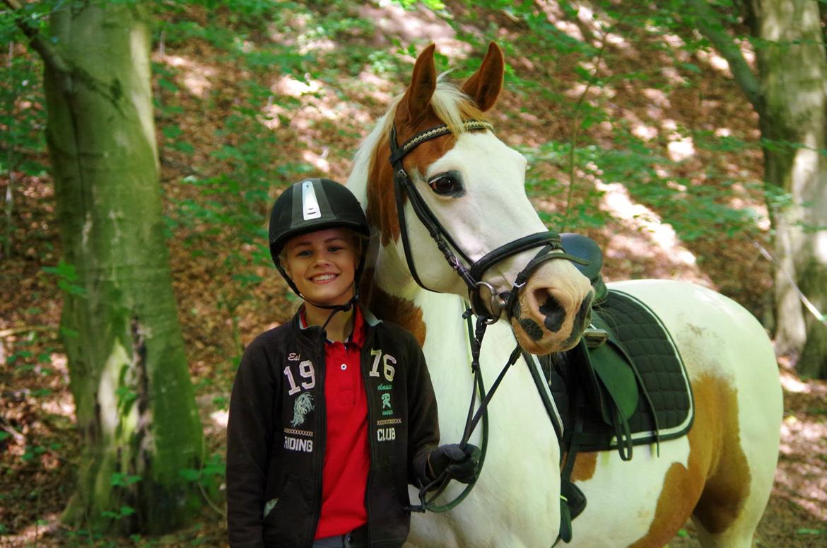 Pinto Camelot - dig og mig for altid <3 billede 3