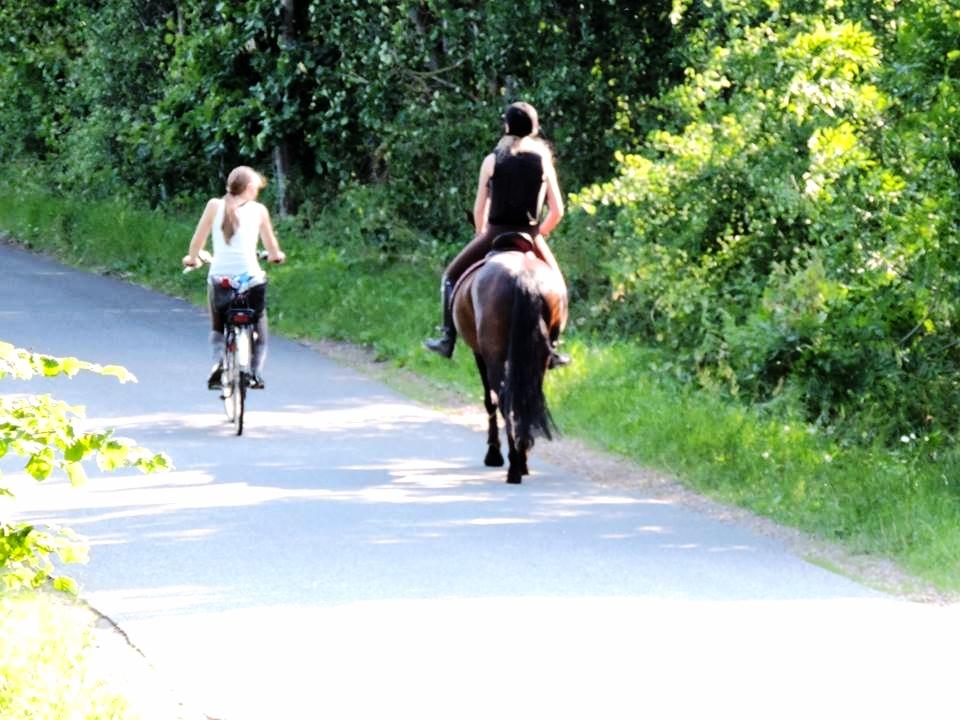 Anden særlig race Naomi - Stemningsbillede <3 Cykel som følgesvend ;) billede 28