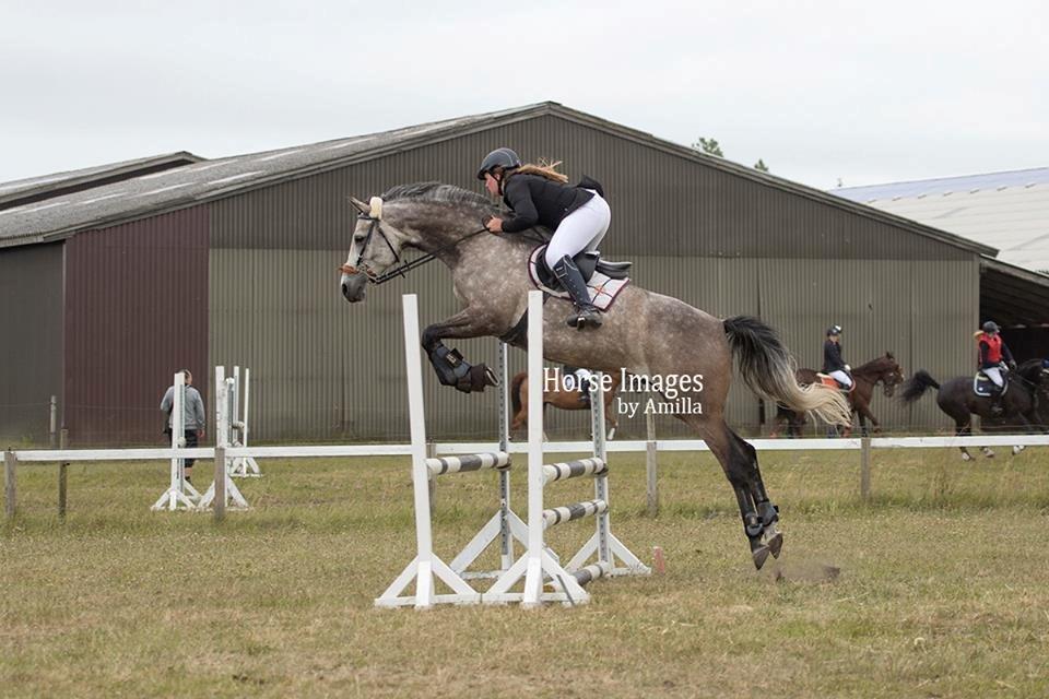 Anden særlig race Simpson billede 3