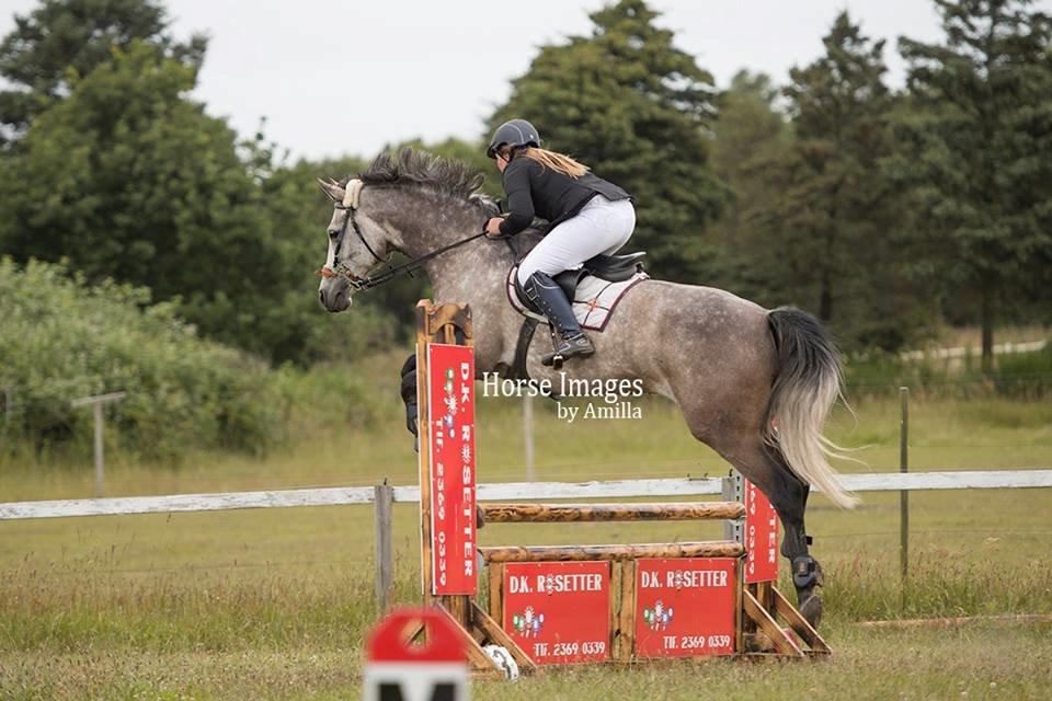 Anden særlig race Simpson billede 8