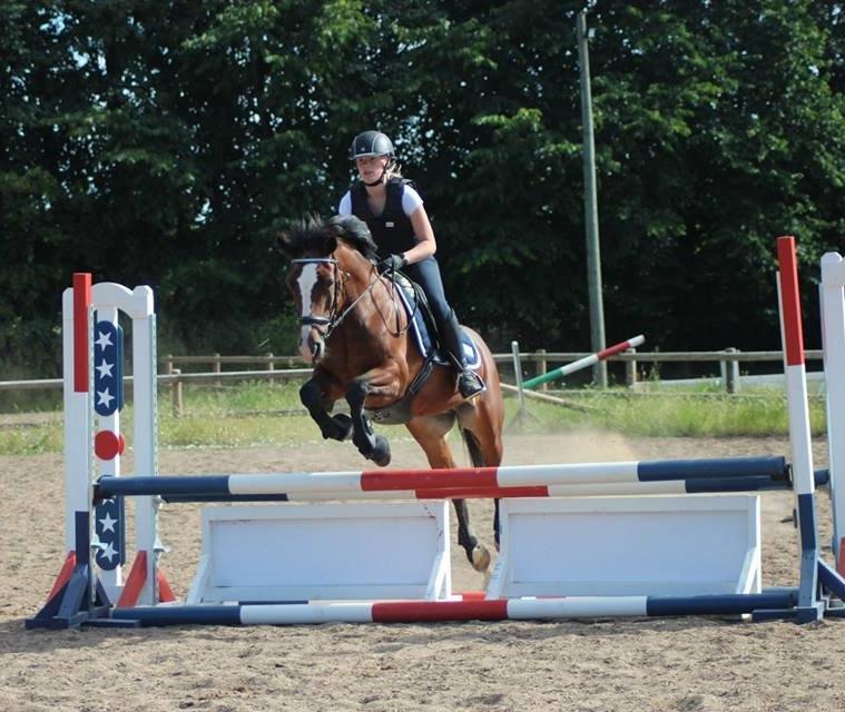 Anden særlig race Maddie billede 24