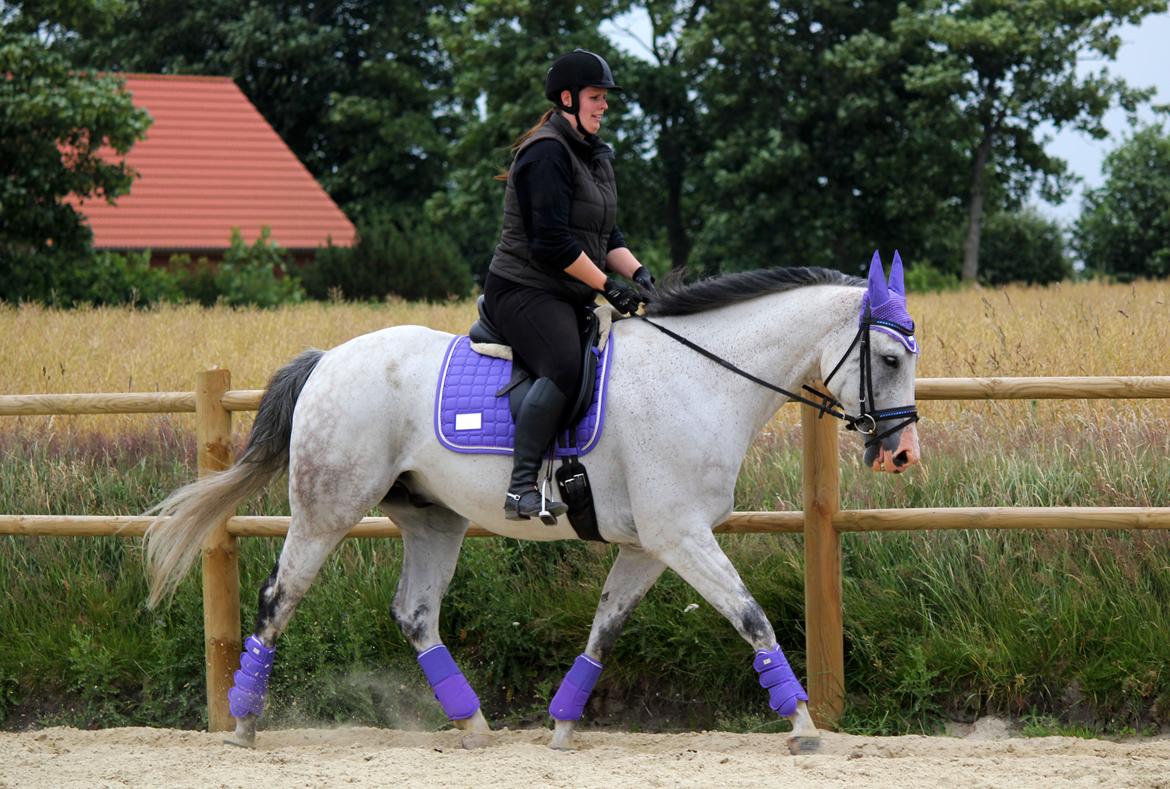 Holstener Fruerholm's Adonis *For Evigt Elsket <3* - Lækre basse billede 42