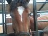 Ardenner Arne [Min part]