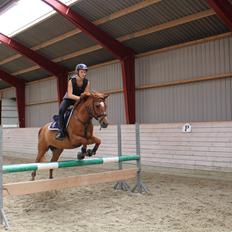 Anden særlig race Celina