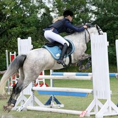 New Forest Marrondales Country Love