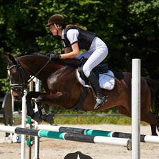 DSP Sebastian B-pony 