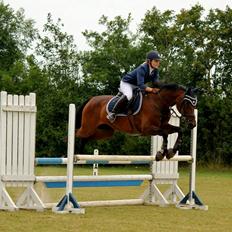 Anden særlig race Sheiki (Sheiken)