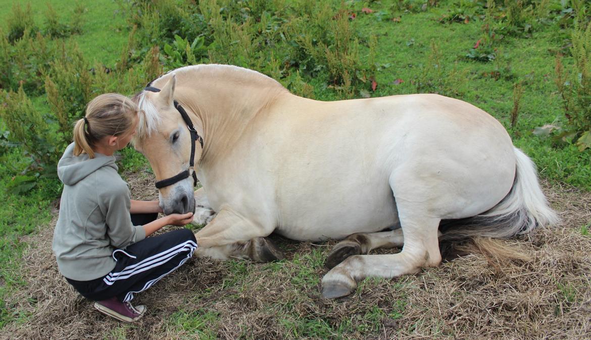 Anden særlig race Frederik billede 6