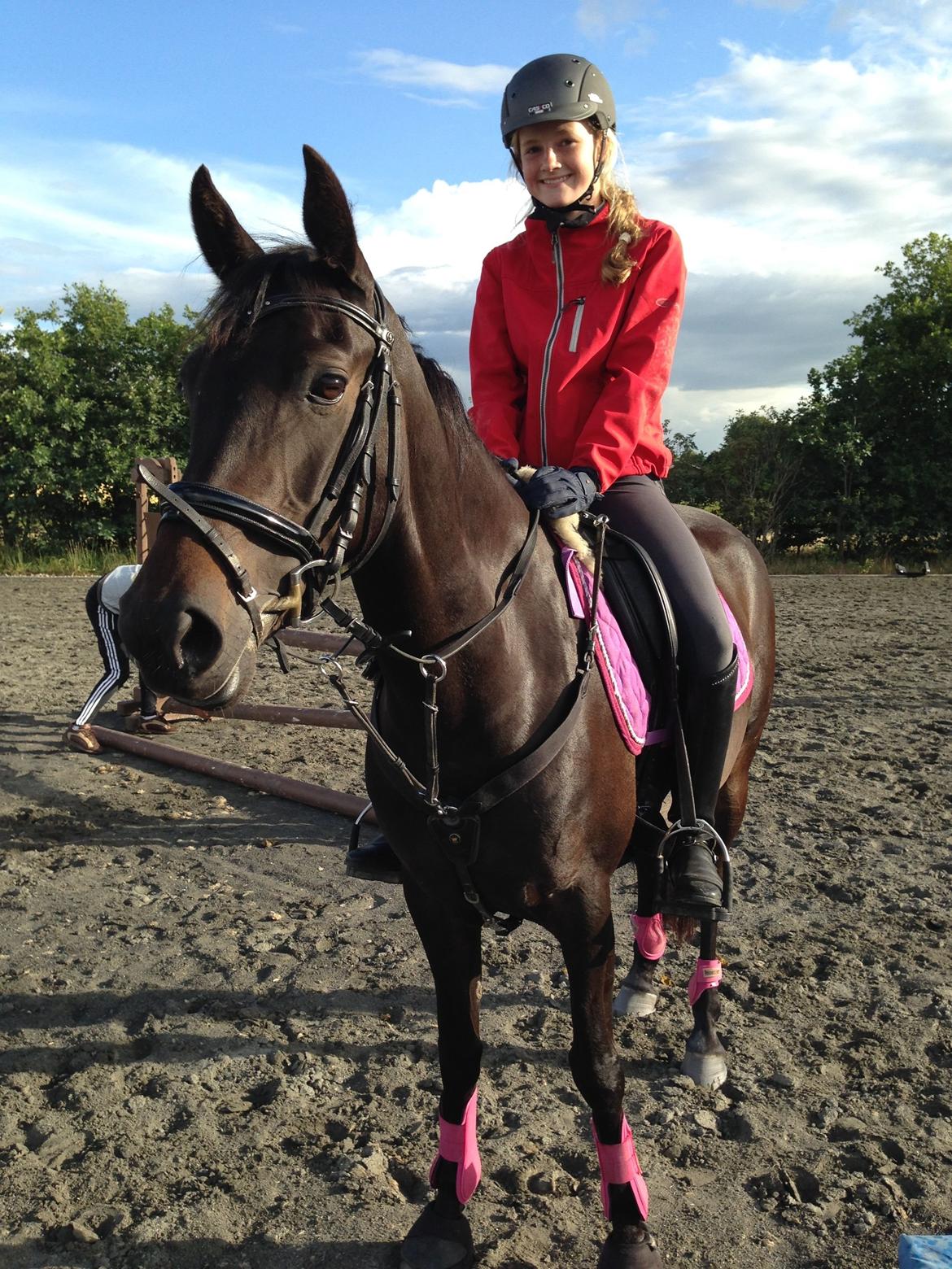 DSP SS No Luxury [Tidl. lånepony] - Efter første springtræning billede 14