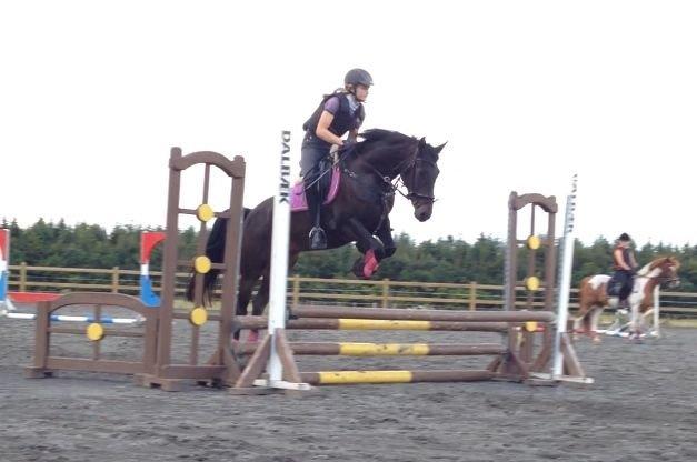 DSP SS No Luxury [Tidl. lånepony] - Første springundervisning d. 1. juli 2014 over oxer  billede 15