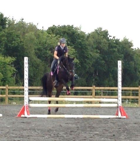 DSP SS No Luxury [Tidl. lånepony] - Første springundervisning d. 1. juli 2014 billede 16