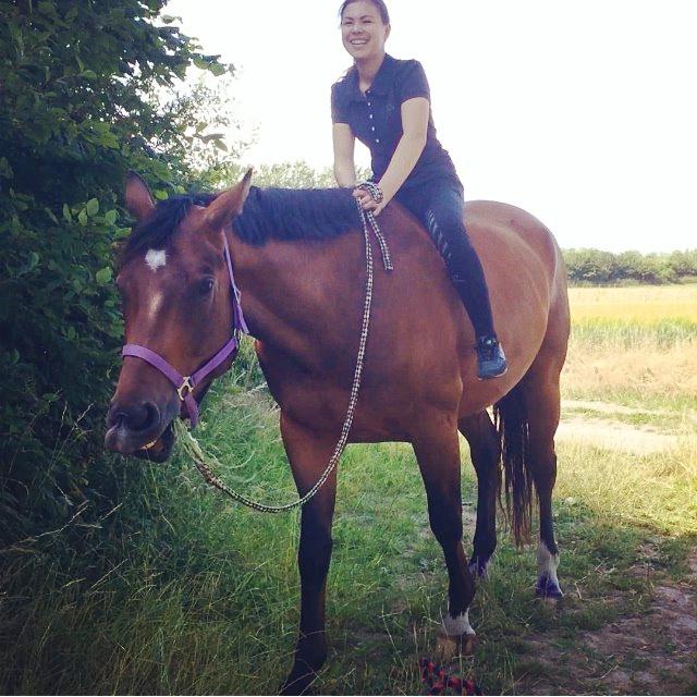 Dansk Varmblod Valløs Barosso - Sommer 2014. Min ''lille'' skat er jo blevet en stor dreng! <3 billede 10