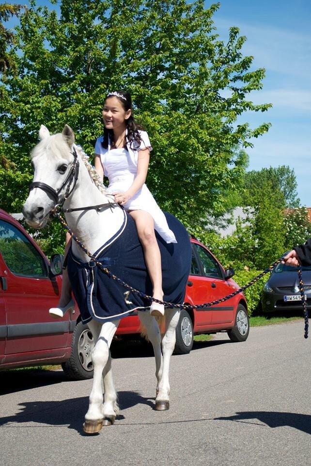 Anden særlig race Pinochio billede 6