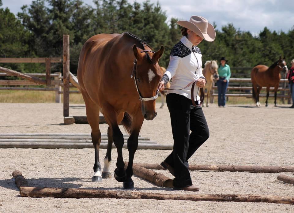 Quarter Boons Magic Lady - Little Mule 29/6-14 billede 10