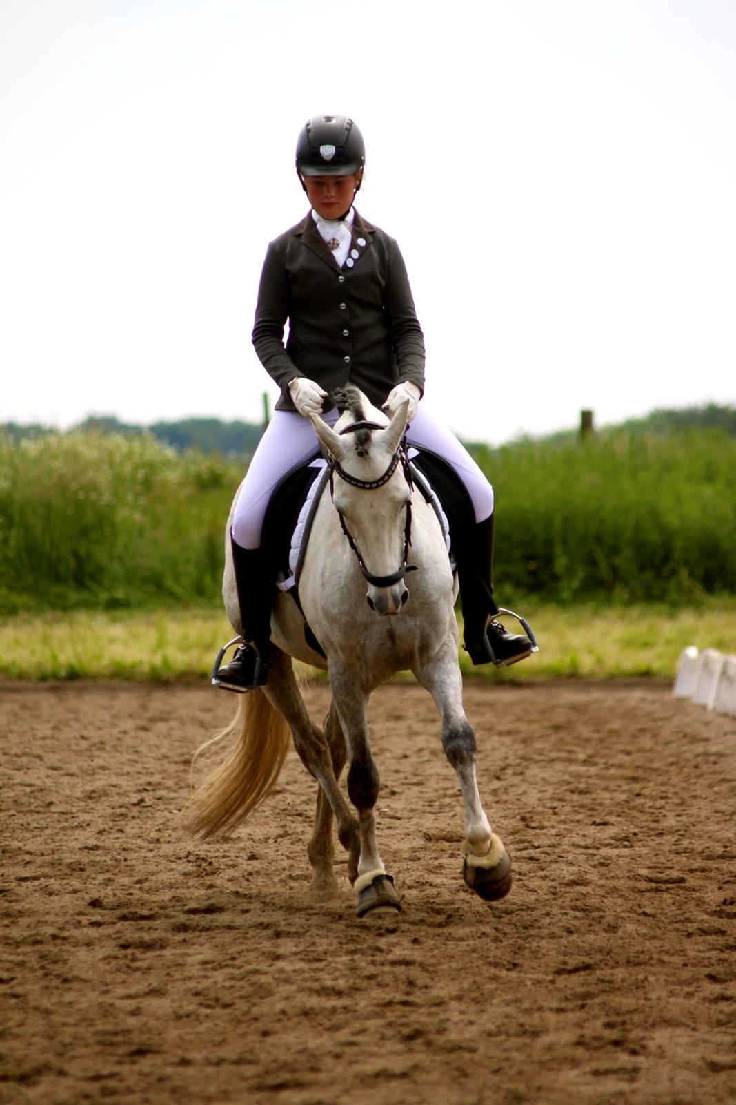 DSP Bakkegaarden's Triple Perfect - Omvarmning til stævne i Hammelev :) billede 1