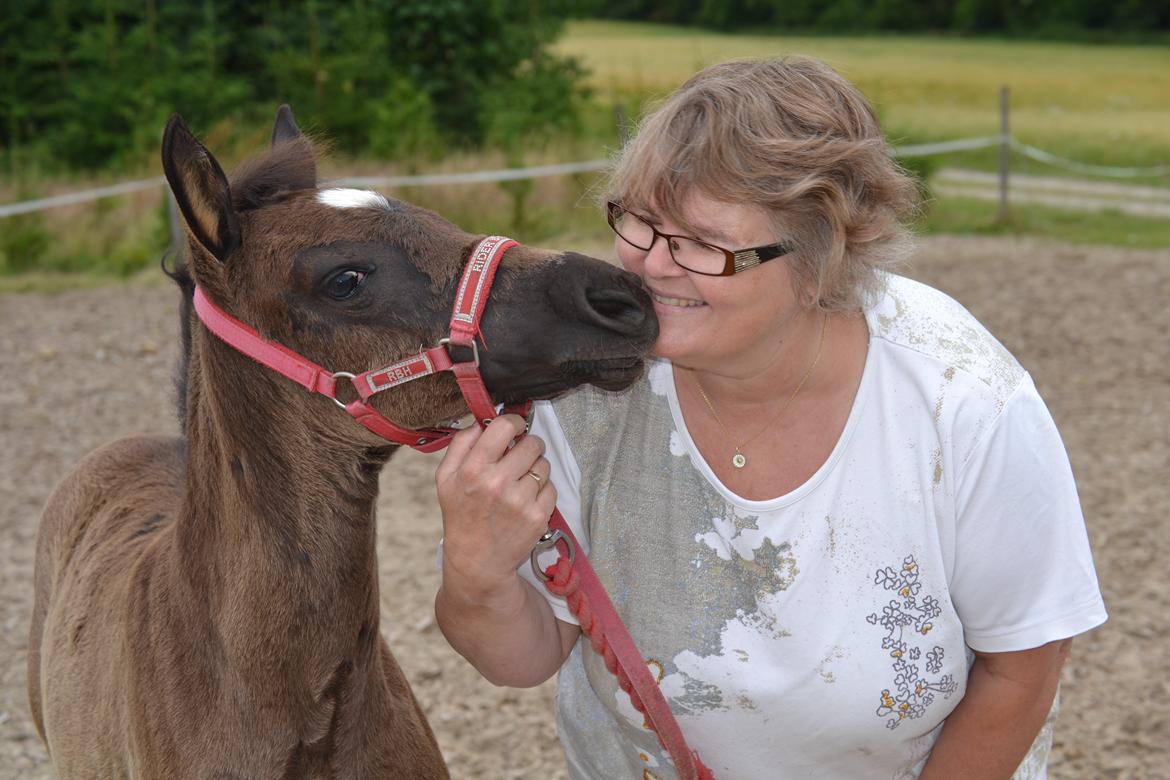 New Forest Fuglsangs Sweet Cookie - Cookie og mor billede 8