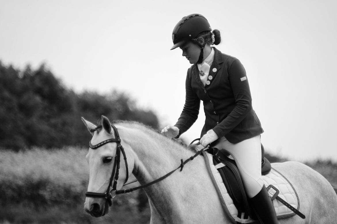 DSP Bakkegaarden's Triple Perfect billede 4