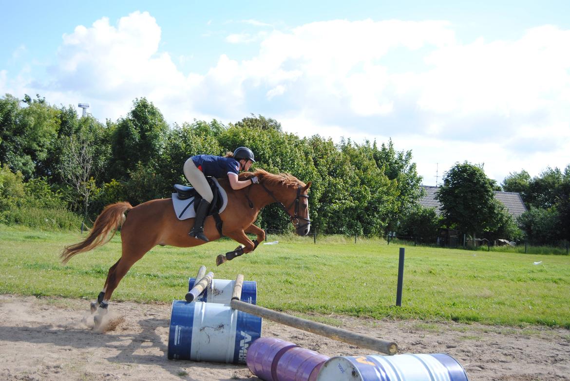 DSP Glerupgaard´s Weis - Weis til spring undervisning           sommer 2014 billede 6