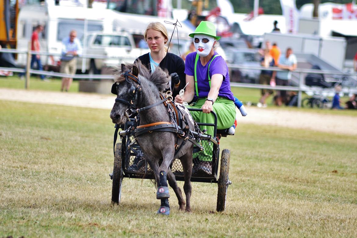 Knabstrupper Moselunds Jasmin - Fotograf: Jeanette M. Poulsen billede 15