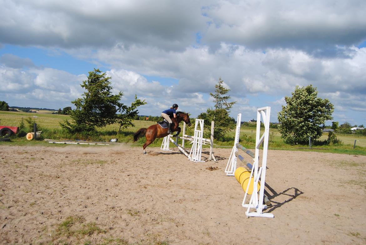 DSP Glerupgaard´s Sanita billede 7