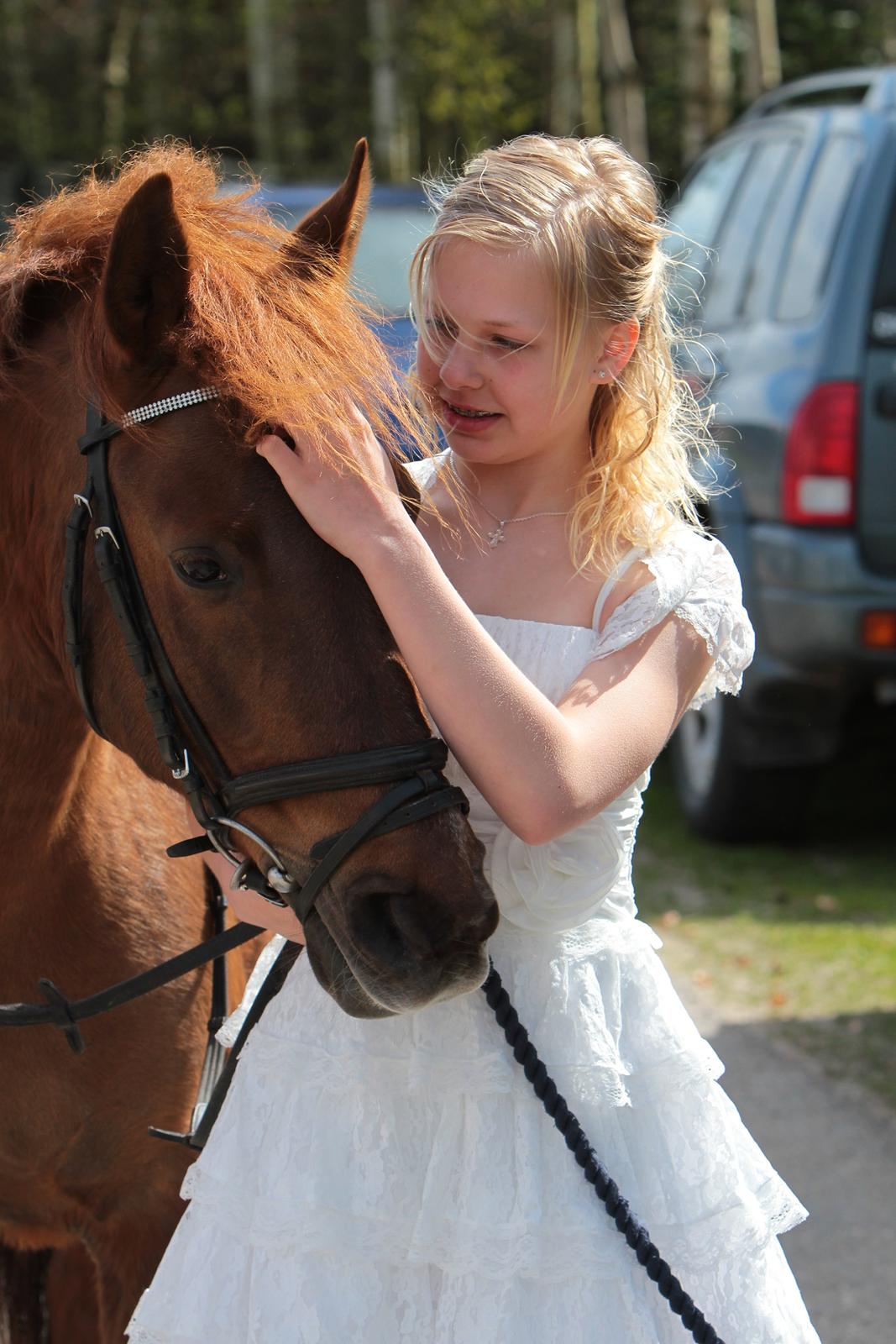 New Forest /Araber Nadi (Nadia) - Nadi og jeg til min konfirmation, hvor hun ventede på mig uden for Kirken :) <3 billede 1