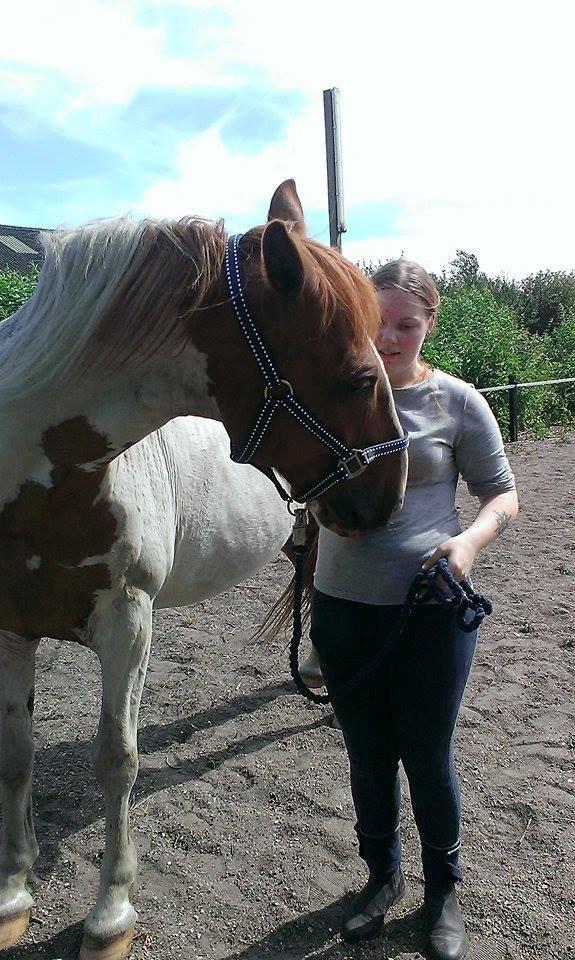 Anden særlig race Ramon (Monse) billede 16