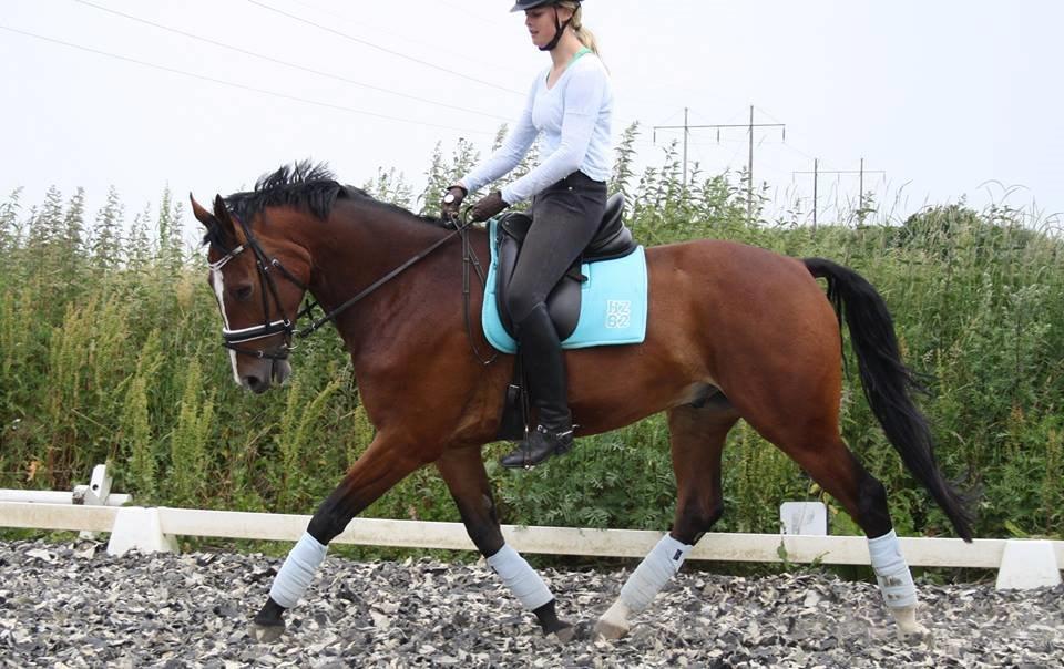 Oldenborg Narnio Roi billede 39