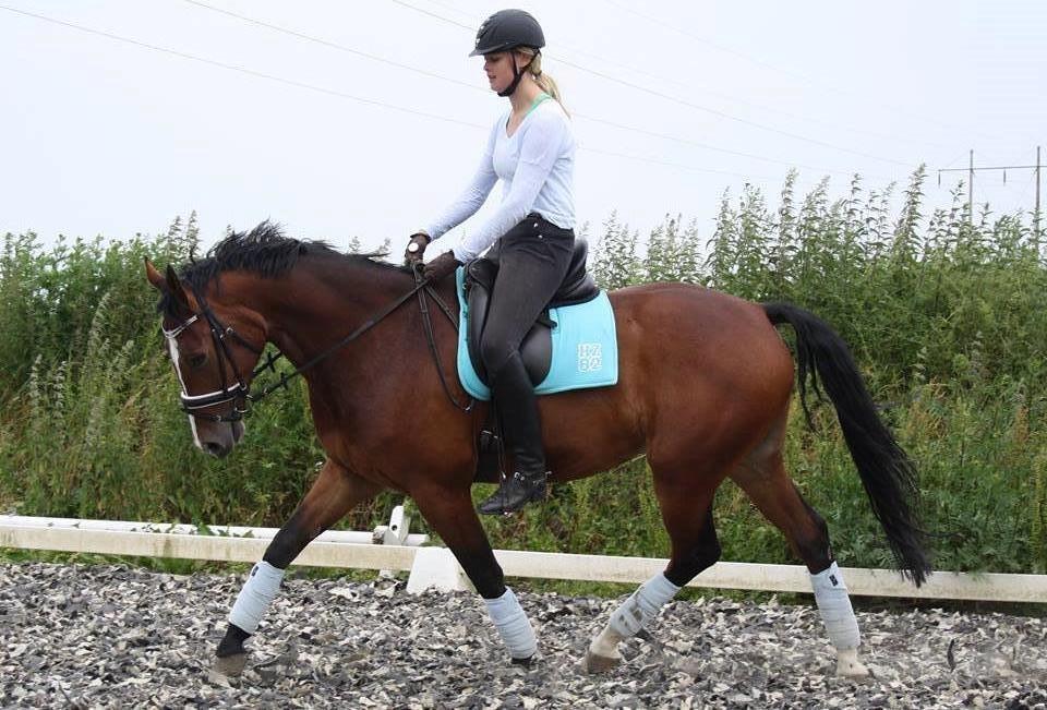 Oldenborg Narnio Roi - Træning d. 7 Juli billede 26