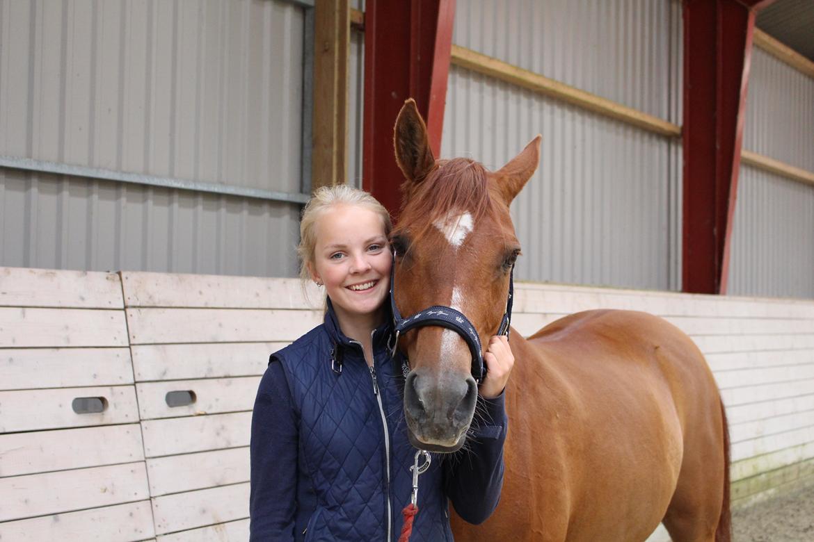 Anden særlig race Celina billede 7