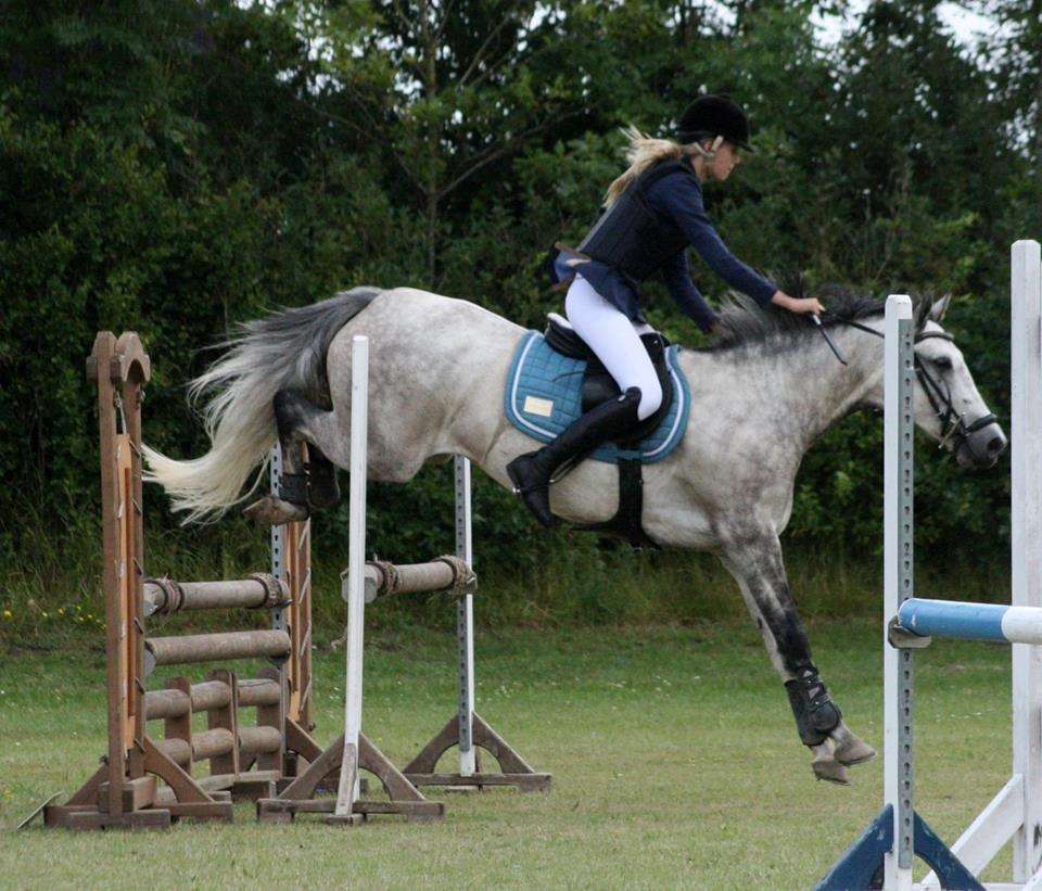 New Forest Marrondales Country Love - taget af diana klein billede 9