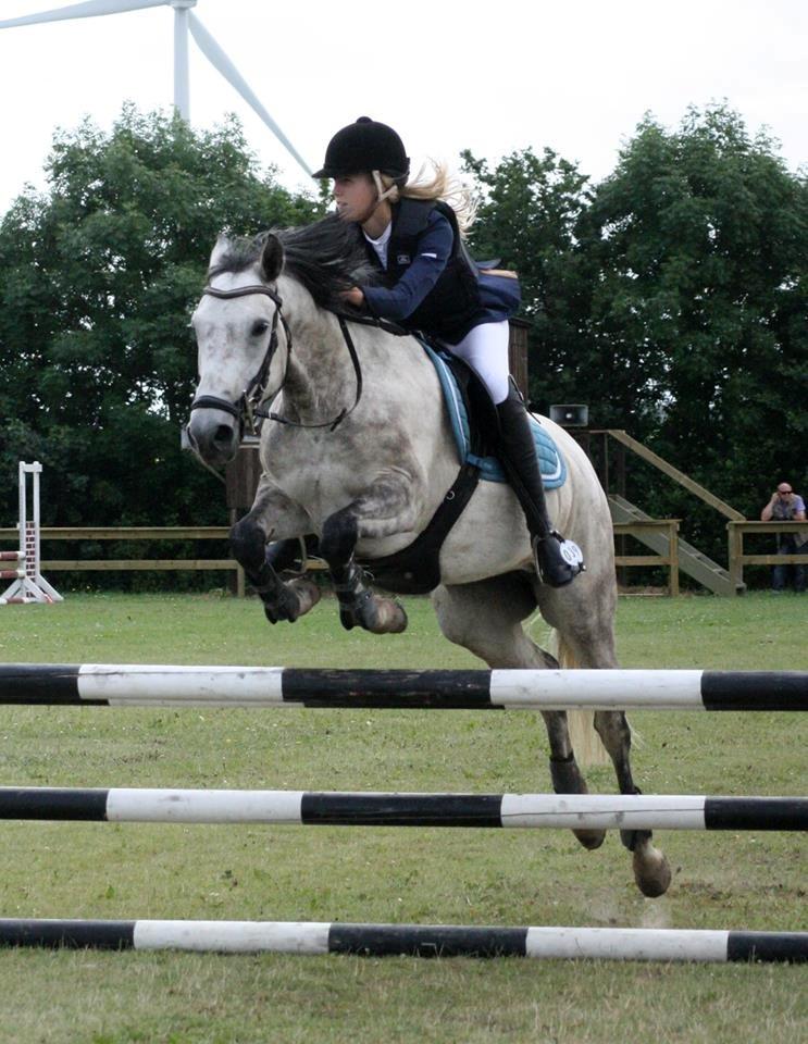 New Forest Marrondales Country Love - taget af diana klein billede 13