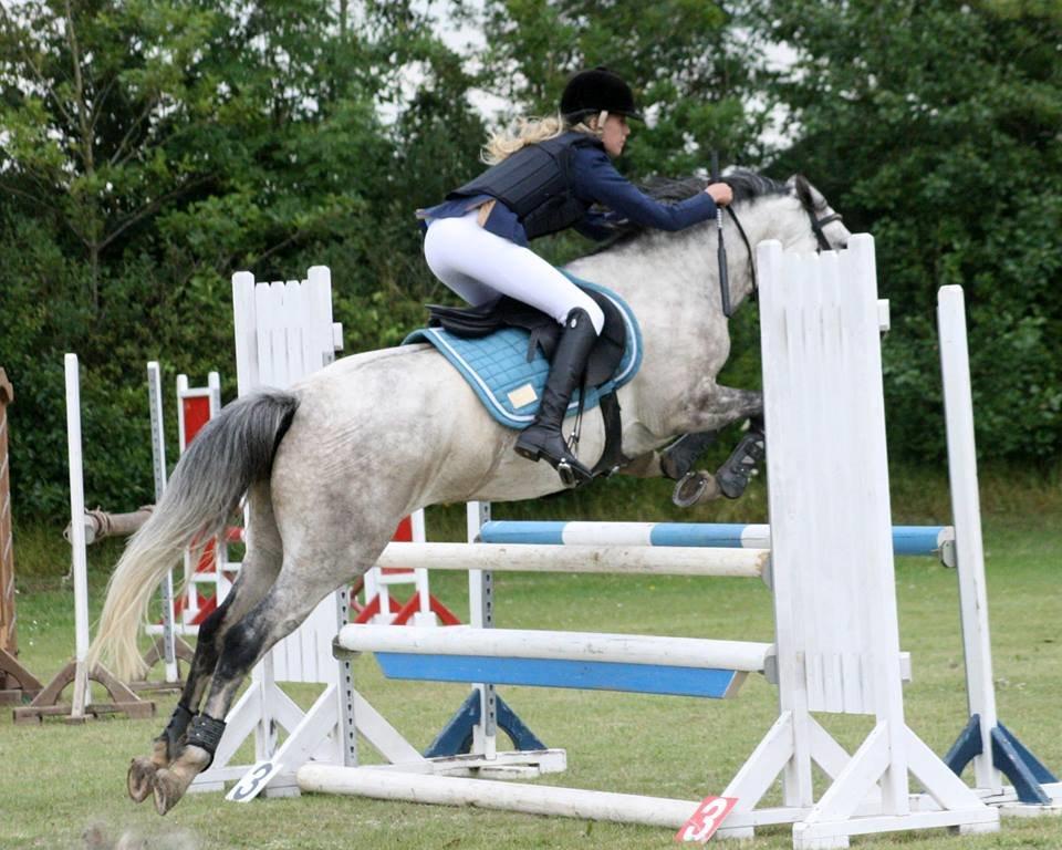 New Forest Marrondales Country Love - taget af diana klein billede 2