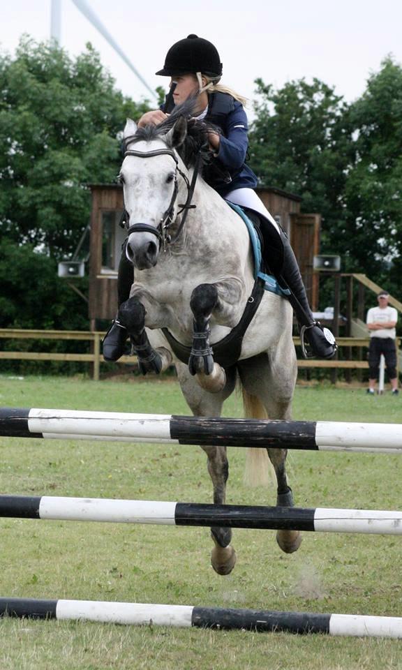 New Forest Marrondales Country Love - taget af diana klein billede 15