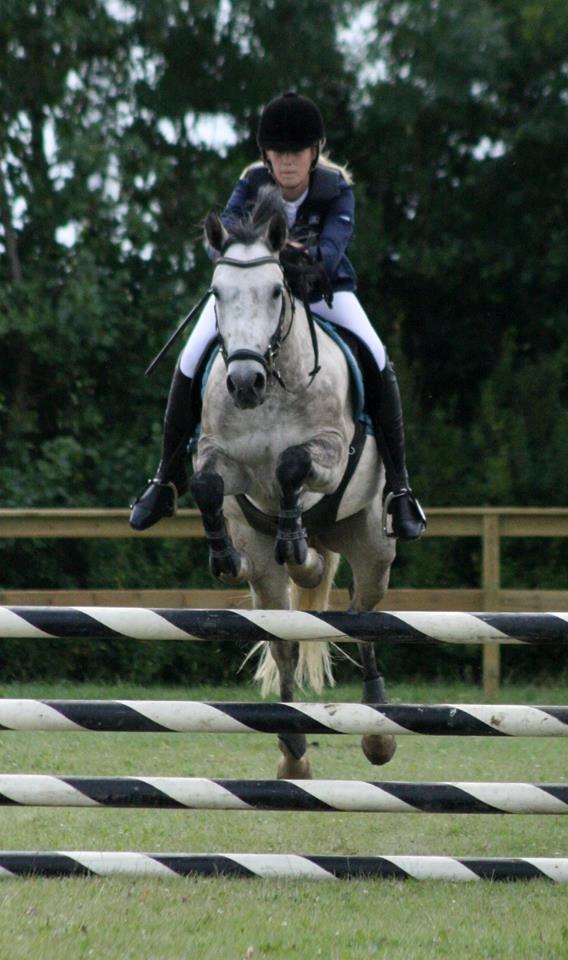 New Forest Marrondales Country Love - taget af diana klein billede 6