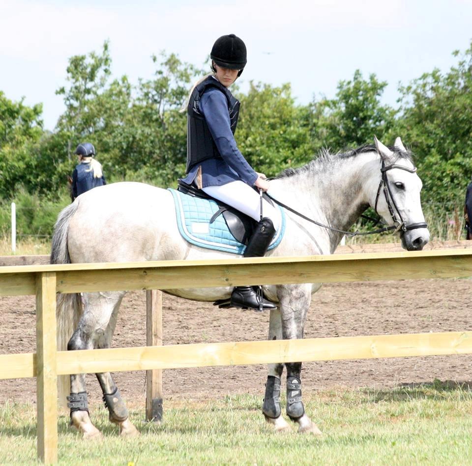 New Forest Marrondales Country Love - taget af diana klein billede 4