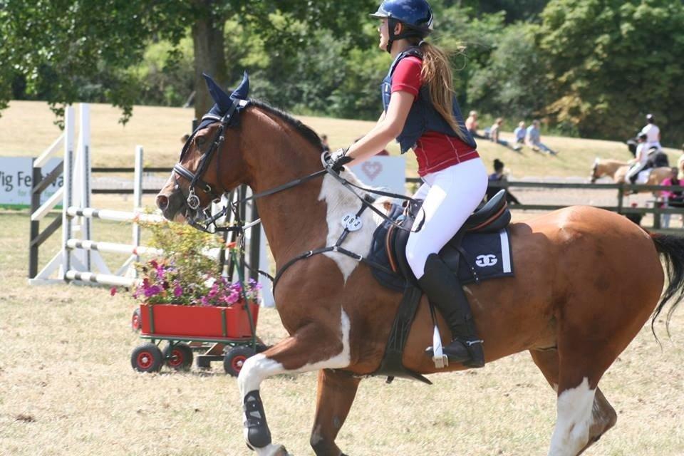 Pinto Robin - d4 horseshow sødste robin <3  billede 13