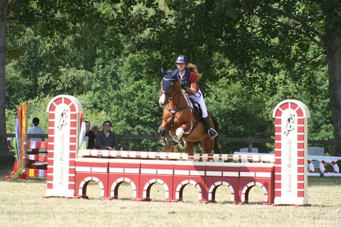 Pinto Robin - d4 horseshow  billede 14