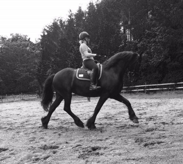 Frieser Freja billede 1