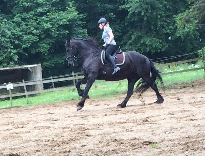 Frieser Freja billede 14