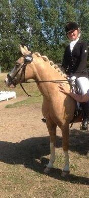 Anden særlig race  Fursten Fire        ( B-Pony ) billede 8